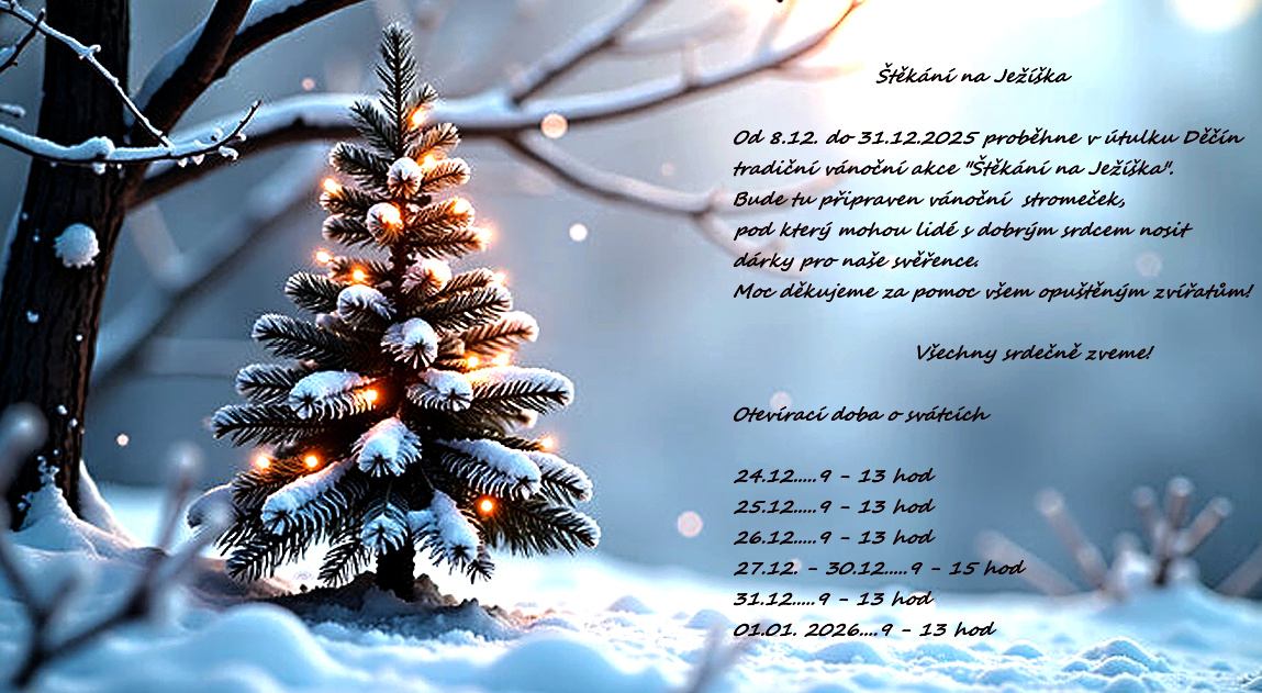 Klikni na obrázek a uvidíš dopis Ježíškovi.